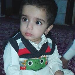 fallproject91's profile picture. university instructor -actor-director of drama-ma in translation studies