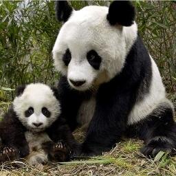 dak87's profile picture. Люблю макраме свою семью!! Заметила,что ,в интернете,мало инфо о макраме,на эстонском языке! Märkasin-et internetis on on vähe infot makramee eest, eesti keelt!