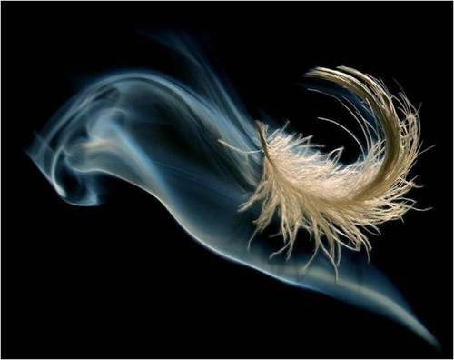 sandrasilva21's profile picture. 