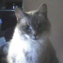 Julie Jonas - @Jonassince1997 - Twitter