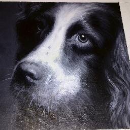 Hand painted individualised pet oil paintings for pet lovers! Please view my website for my prices https://t.co/kWiwcAbyzs