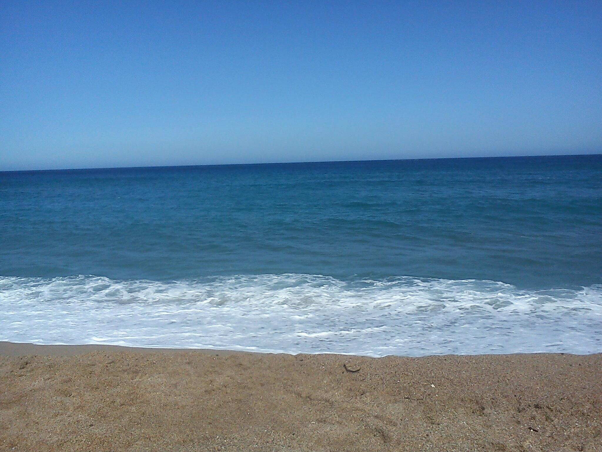 AlineA73's profile picture. 