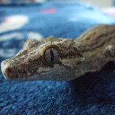 William Dalby - @DalbyWilliam - Twitter