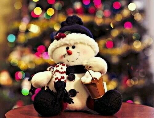 SajaAmer1's profile picture. 