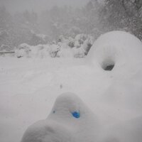 Charlie Mckerron (@chasrajchas) 's Twitter Profile