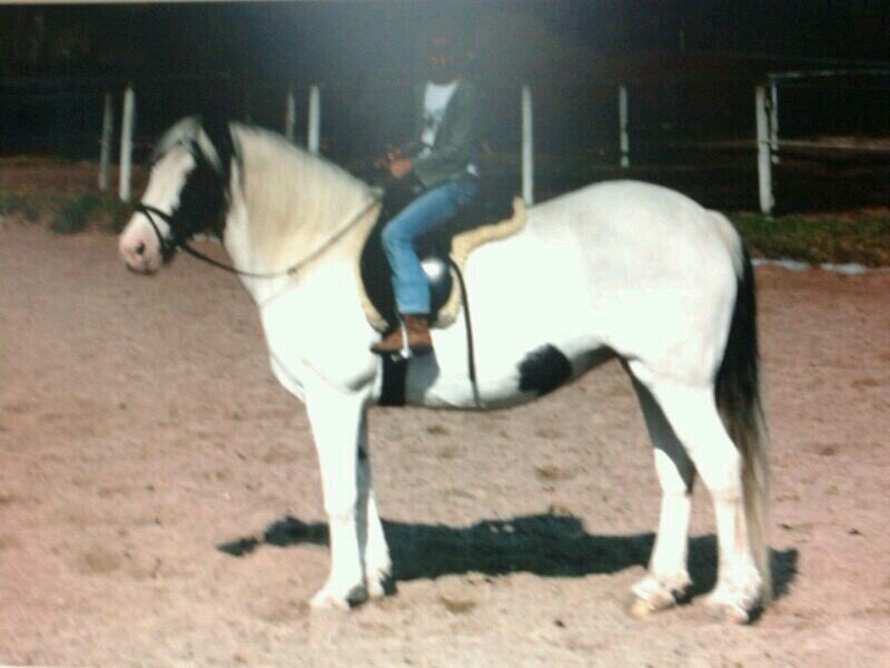 lieverd me best dinnetje voor altijd!!! ik hou van je xx@femkexjordi (femke)