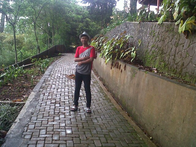 Janji suci :*