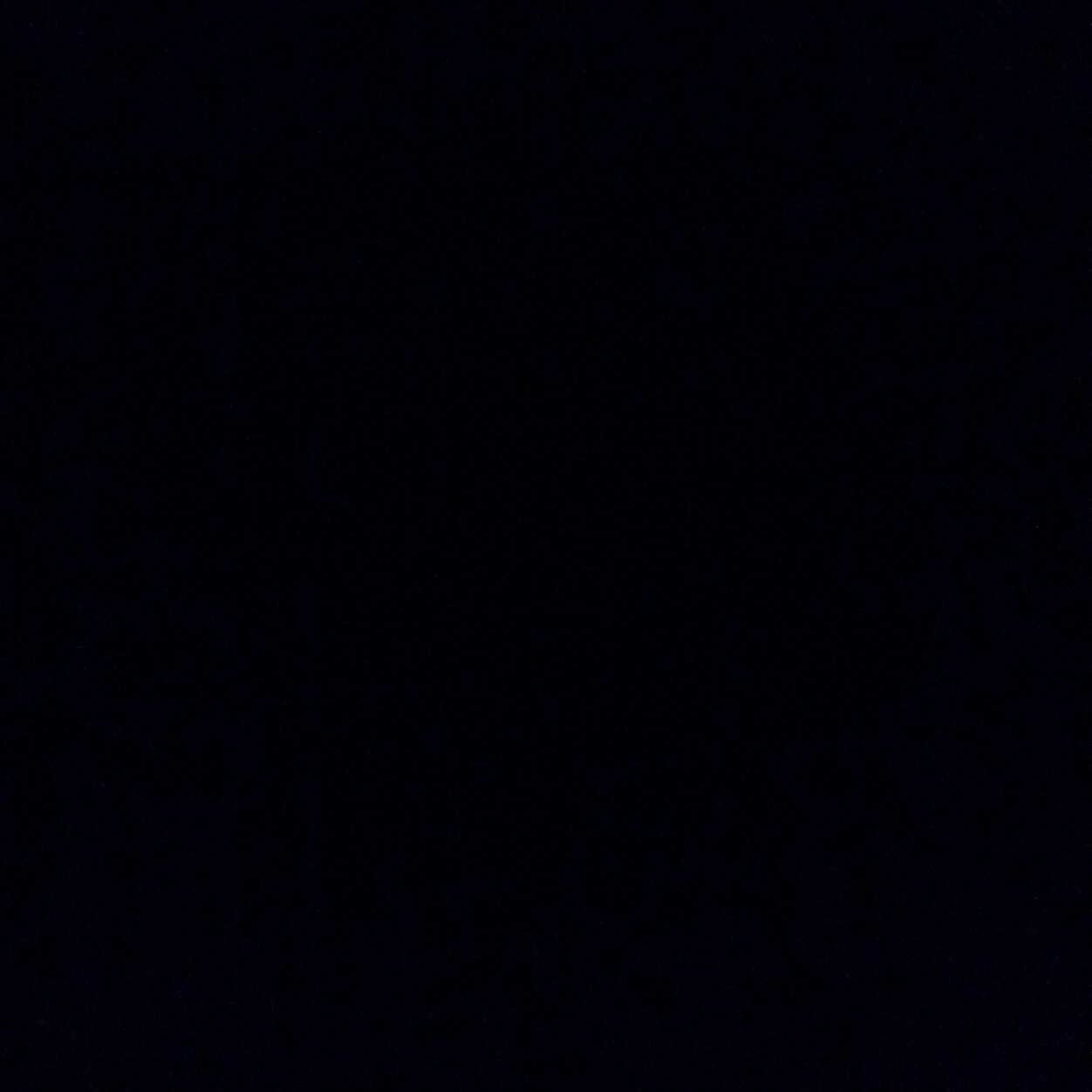 loveshitzu's profile picture. 