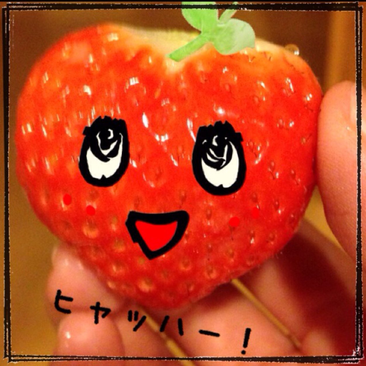 ただのしがないオタク