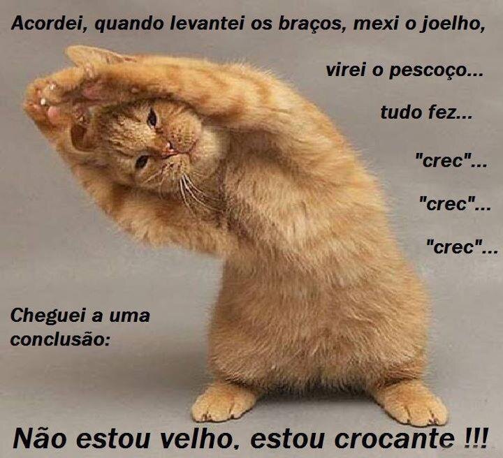 mariajose1942's profile picture. 