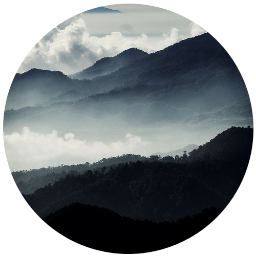 andrewpey's profile picture. Lead Nobody