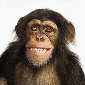 jairnavarroa's profile picture. Comunicador Social, Publicista, especialista en Medios. 
Amante del fútbol y de las buenas rumbas.