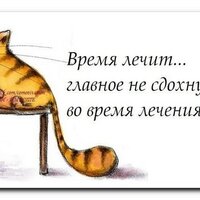 Виктор К (@viteksu) 's Twitter Profile