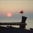 wafa_tweet's profile image