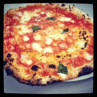 Charlie Papillo (@pizzapapillo) 's Twitter Profile