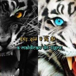 Twitter da página Diz Que É Fã de A Maldição do Tigre