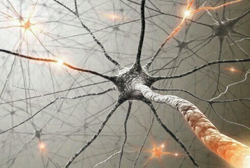 WordSonorous's profile picture. 