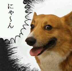 よよよーよ・よーよよさんのプロフィール画像
