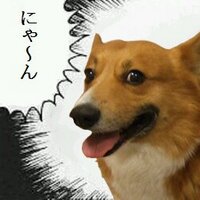 よよよよよよ よよよちゃんのお部屋 - YouTube