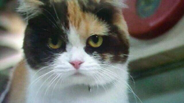 20Thenutcracker's profile picture. 