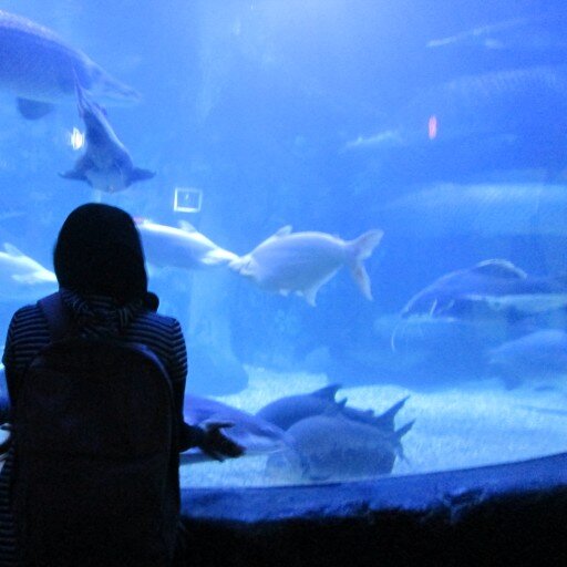 itsda2's profile picture. Ordinary ►Jjang☺