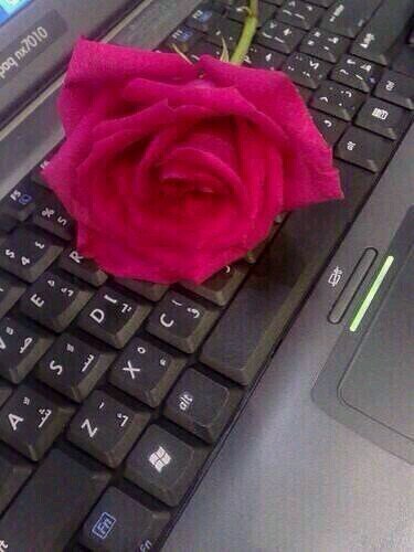 ‏الخاااص ممنووع