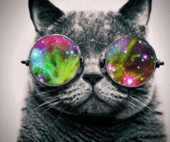 learn2bepretty's profile picture. here you can learn how to be pretty.i will be uploading new tips every day.