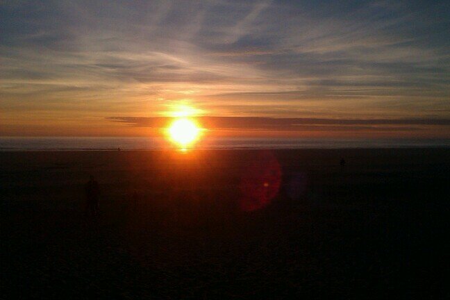 GuyScheelen's profile picture. 