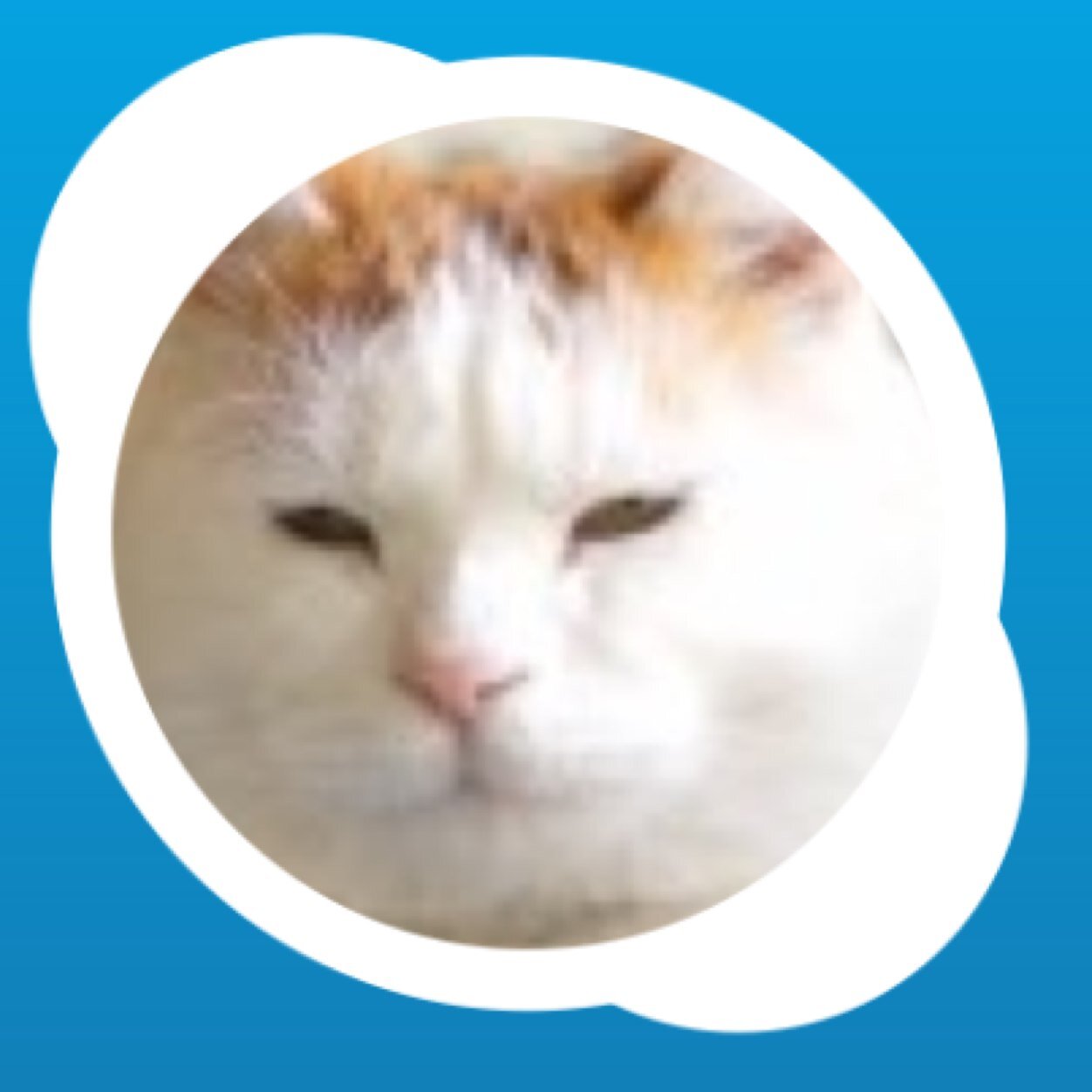 _pabbo's profile picture. 