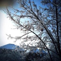 julebule's profile picture. Maker of overwhelmingly complex telecom solutions. Problem herder. Legwarmer aficionado. #imagineer