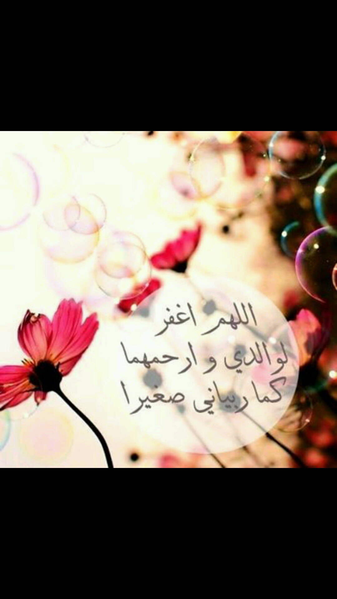 mastnan's profile picture. 