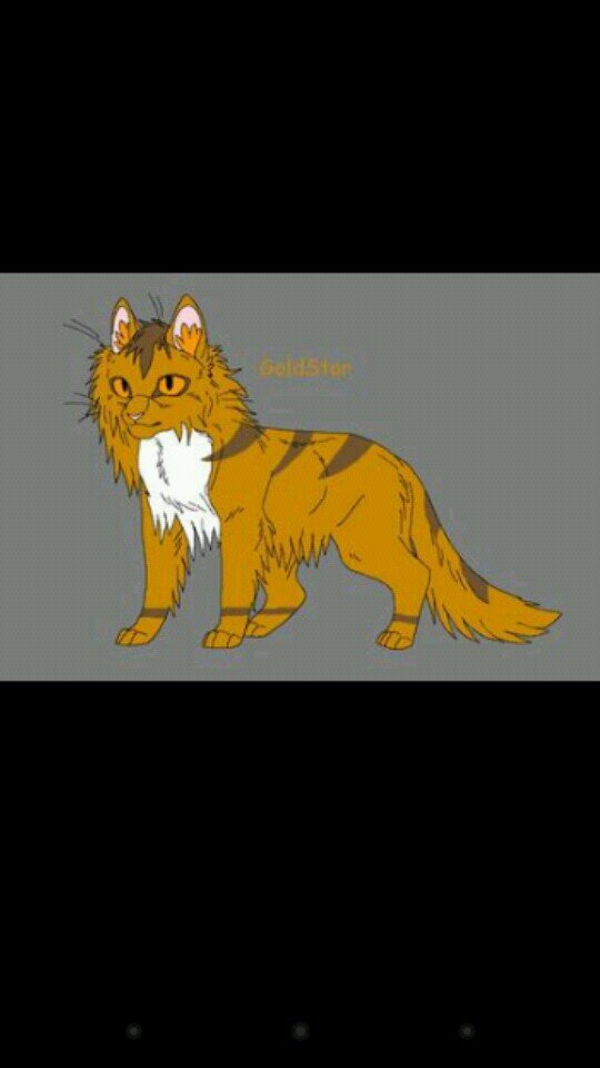 A golden colored cat w/ blue eyes. Leader of GoldClan [Mate: None] [Son: @Whip_of_Cc] [Clan: GoldClan] [Theme song: ] (9 lives) #Male #Single