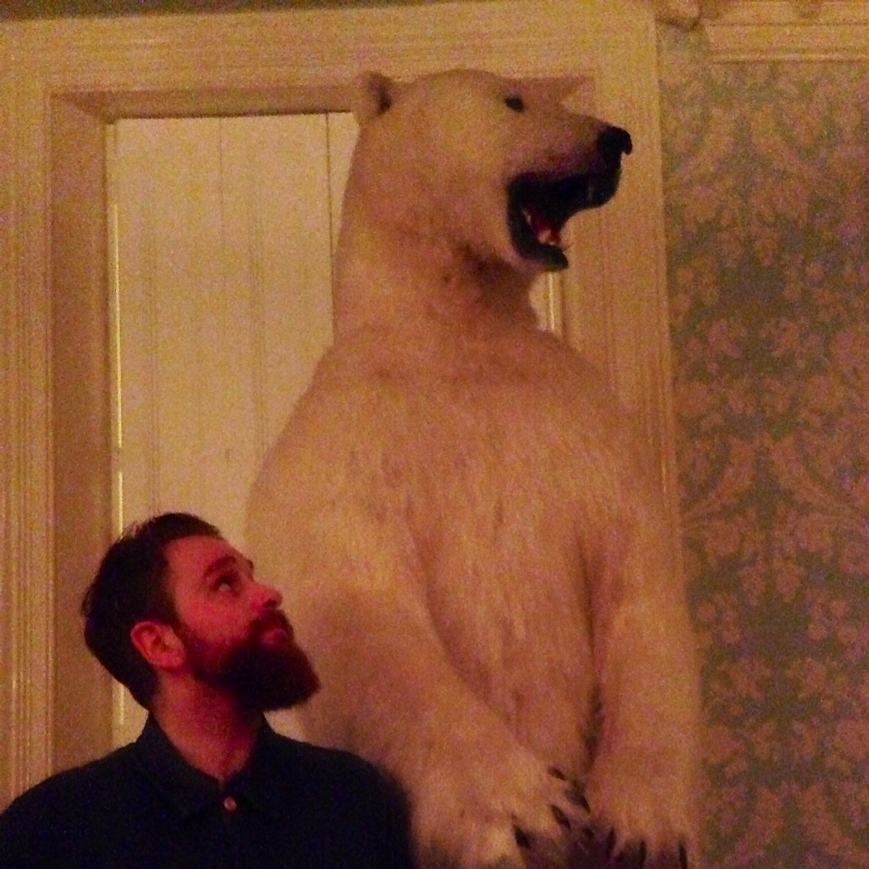 WillKnox1's profile picture. 