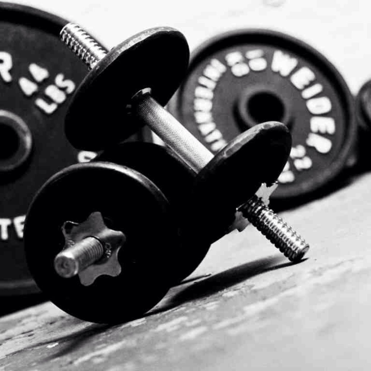 Daily Fitness Knowledge, Advice, Motivation, Humor, All Things Relevant to the Gym | We Dedicate Our Faith to the Iron | #InGymWeTrust | #IGWT