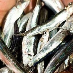 d_metanet's profile picture. 