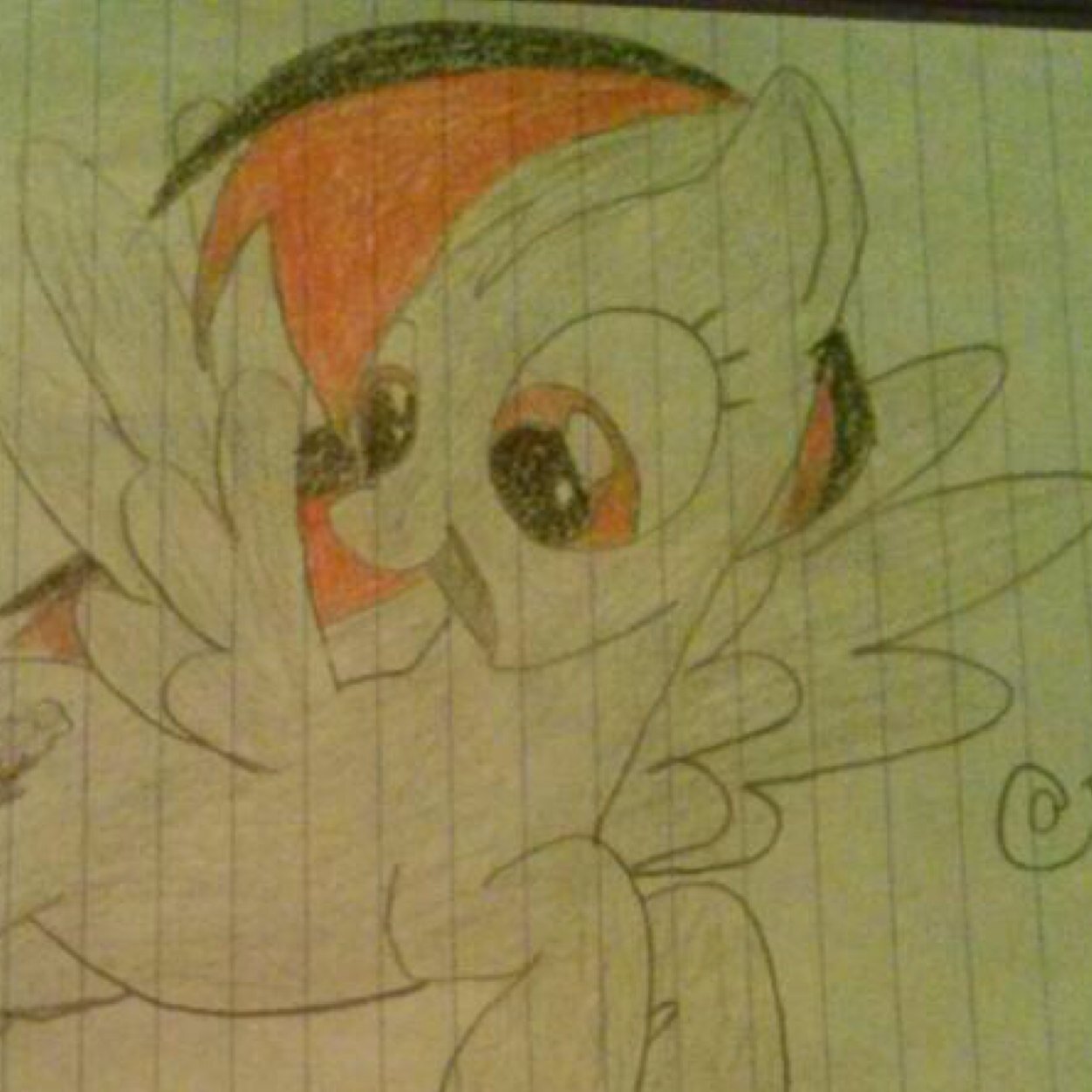 I'm Black Dash and I love to fly. #SSP is @DashieRD