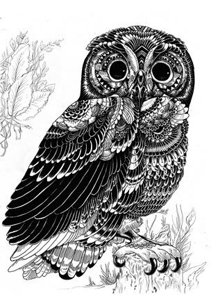 OwlShopper's profile picture. CP : 081280756176 / 25ae6d4f