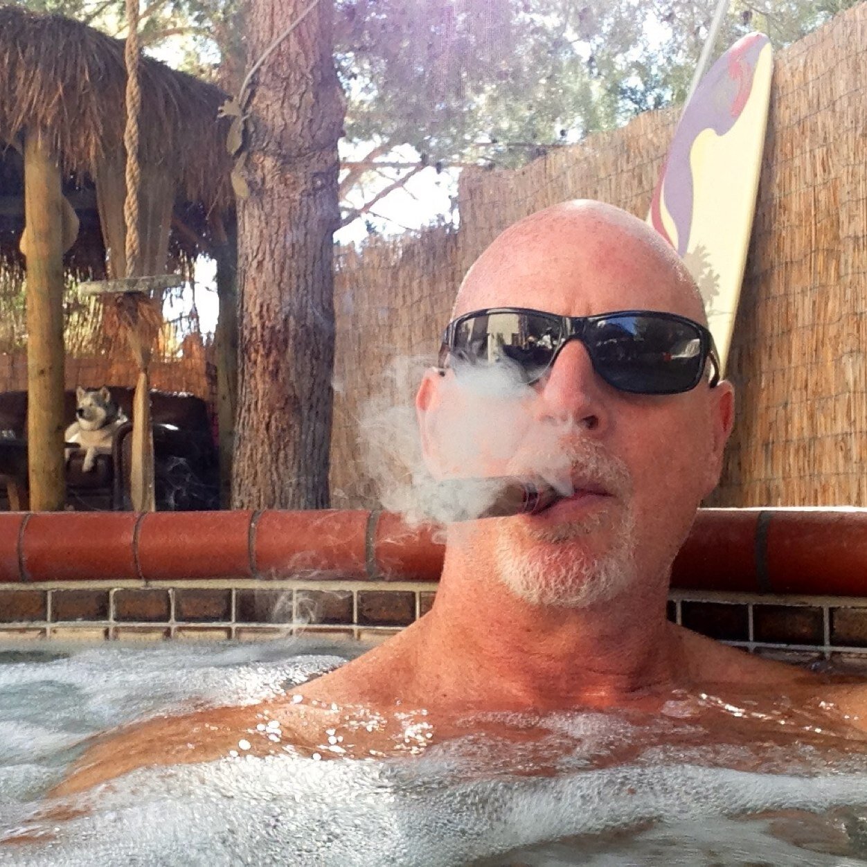 tdenkin's profile picture. Founder | Guy in Charge- Digipath Labs || President | Host - TNMNews | Co- Founder @smuggleverse