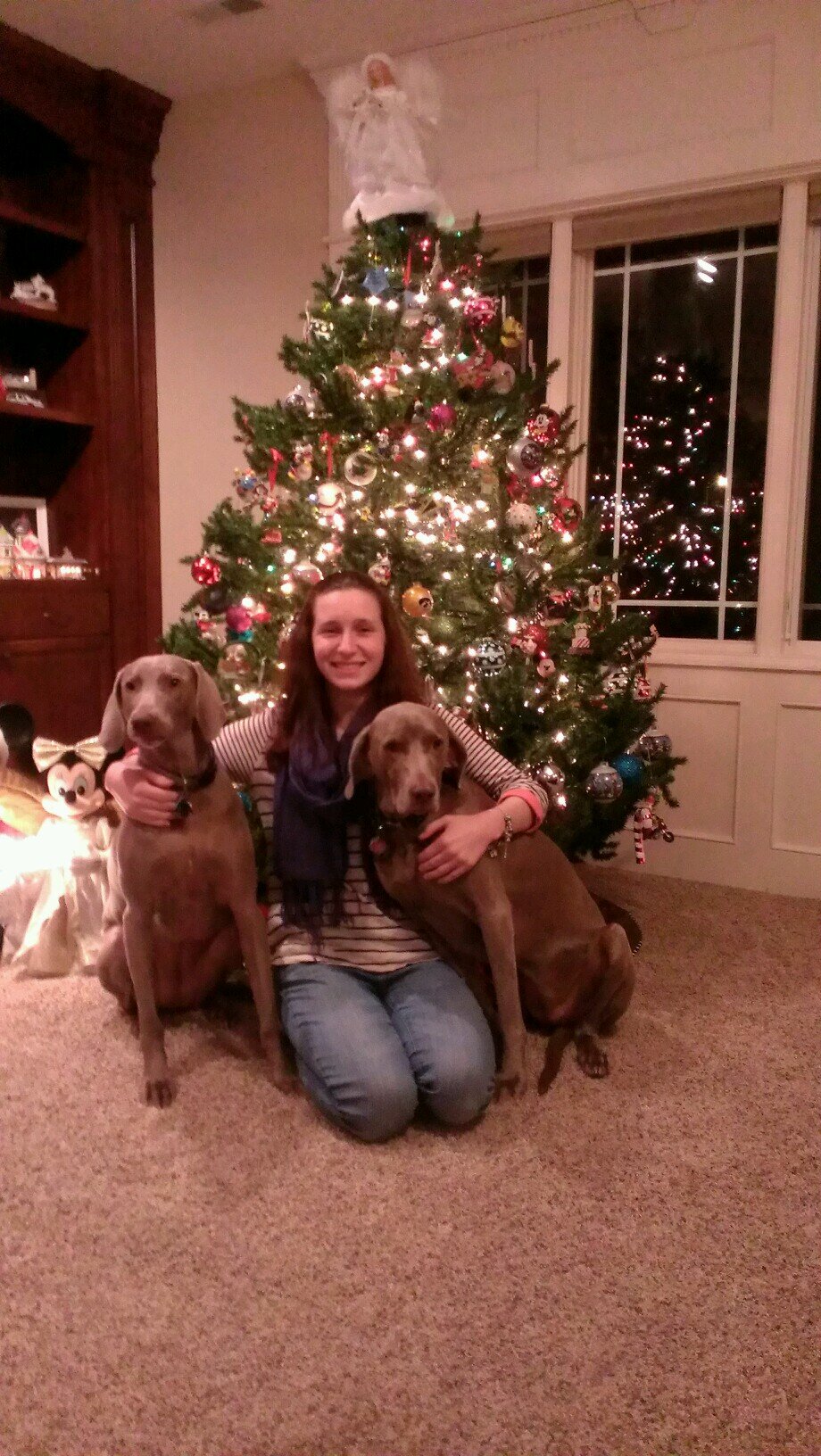 weimlover97's profile picture. 