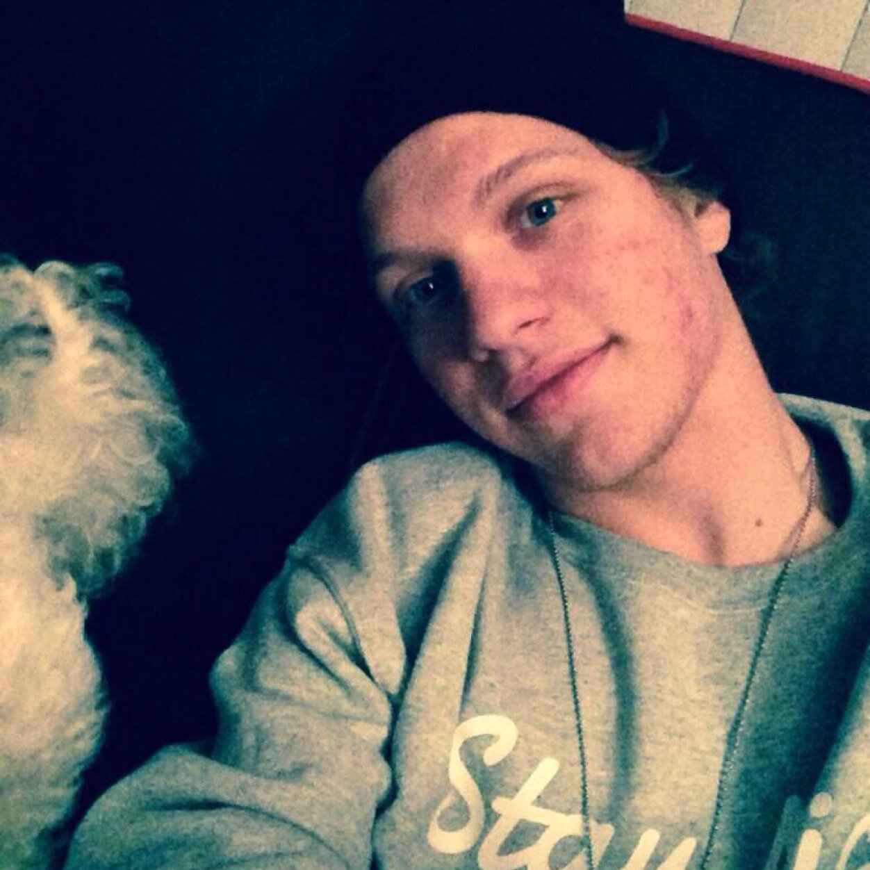 demilegatto's profile picture. 