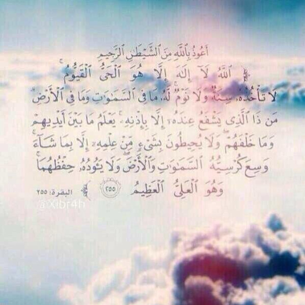 صدقه جاريه ل (امي-عمي-جدي-جدتي-جدي) قطع من قلبي ذهبت واحداً تلو الاخر اللهم ارحمهم ومتعهم بجنتك اذا دخلت الحساب لاتبخل بدعوه لهم ♥️
