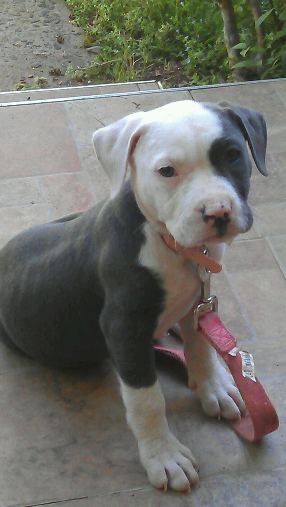 single_babe_27's profile picture. With God all things are possible!!!!!!