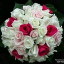 اميرة الشريف (@22soso_) Twitter