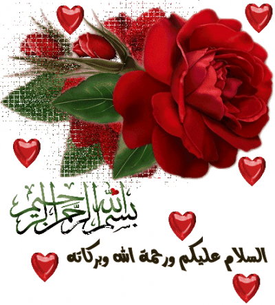 smei2010's profile picture. 