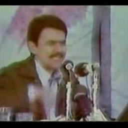 MonaMonadi1's profile picture. 