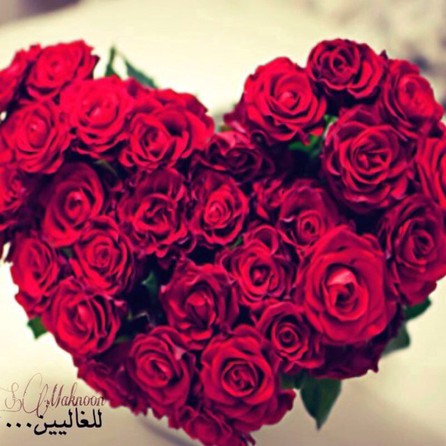 Jhalkandery's profile picture. 