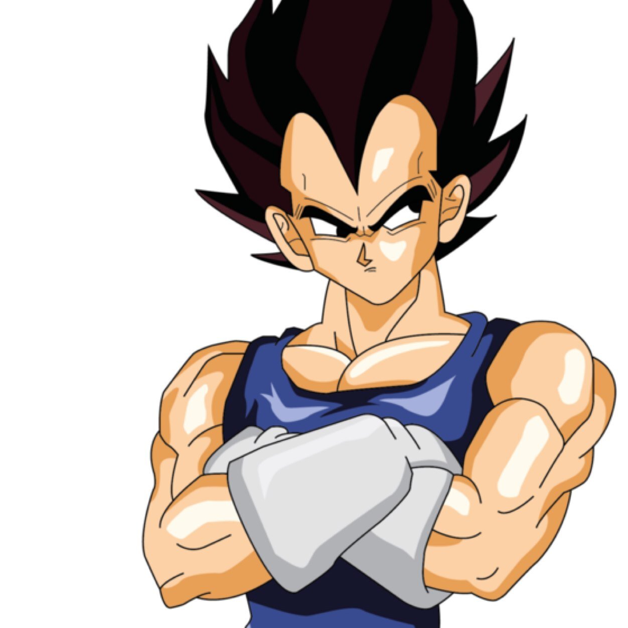 It is I, Vegeta! The mighty Prince. I'm on Earth with that fool Kakarrot who I will one day defeat! Don't bother me, I'll be training. [RP/Parody]