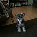 Aaron Prothero - @aaron_prothero - Twitter