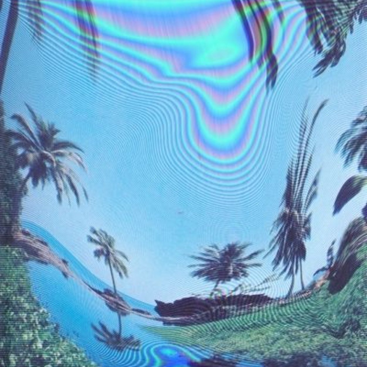 codeinewaves's profile picture. 