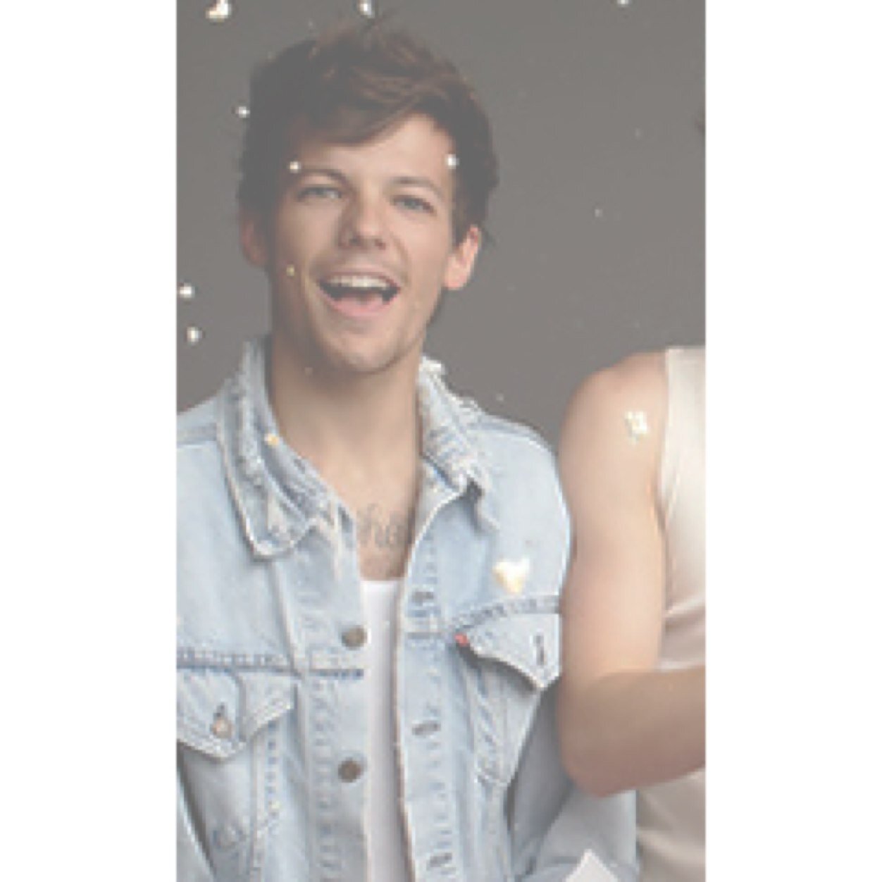 birdcage 0/5